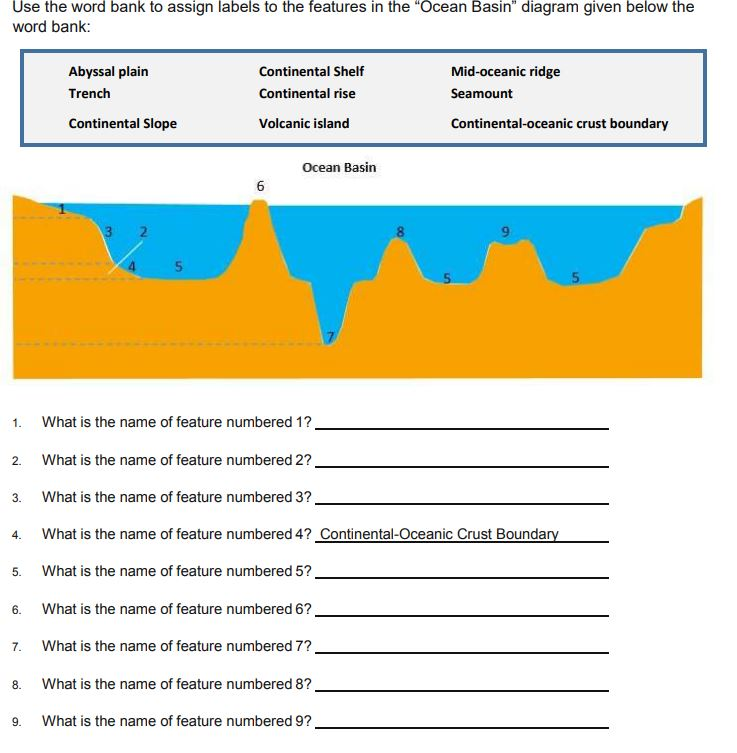 [DIAGRAM] Microsoft Word Diagram And Label - MYDIAGRAM.ONLINE