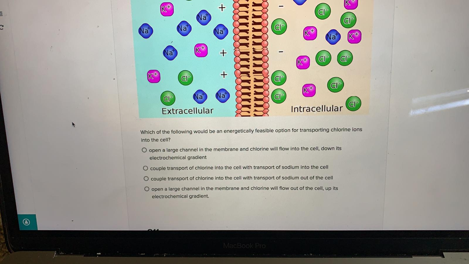 Solved K+ O Na Clº Na al Nat K+ Na K+ wt Na kt Clº + CI Clº | Chegg.com