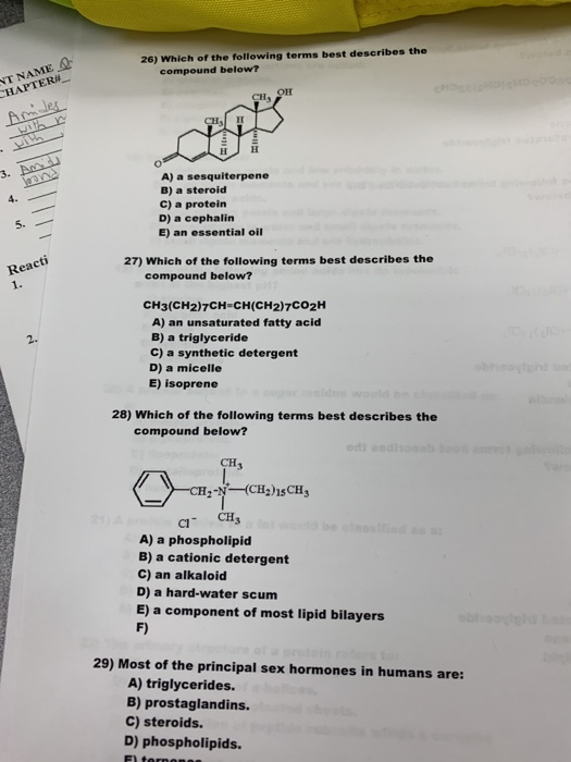 Solved 26) Which of the following terms best describes the