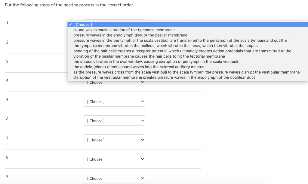 Solved Put the following steps of the hearing process in the | Chegg.com