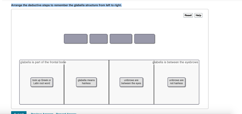 Solved Arrange The Deductive Steps To Remember The Glabella 