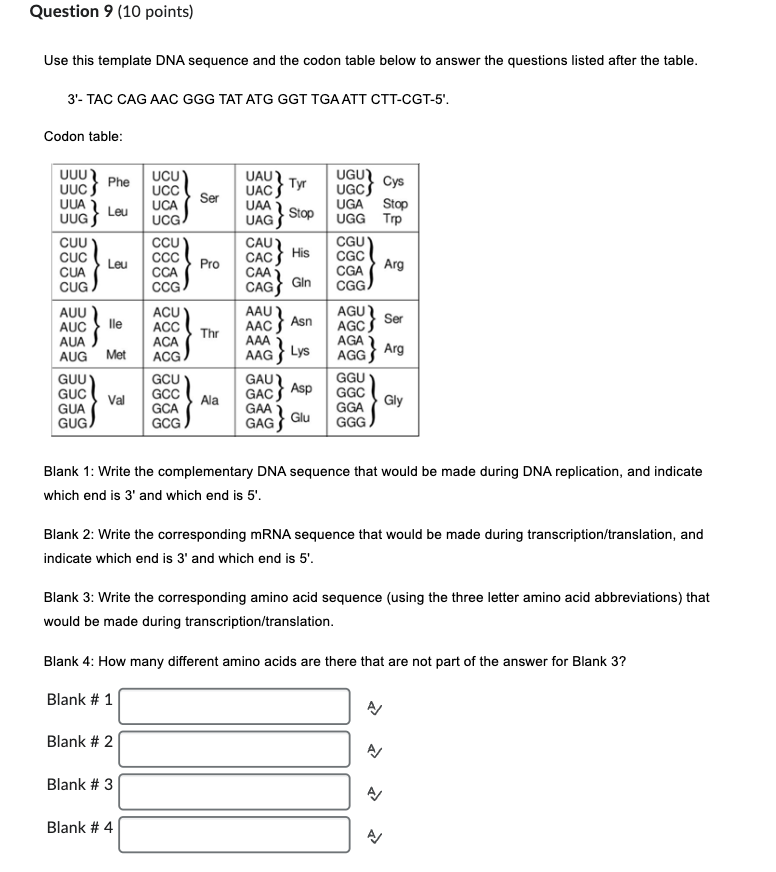 Use this template DNA sequence and the codon table | Chegg.com