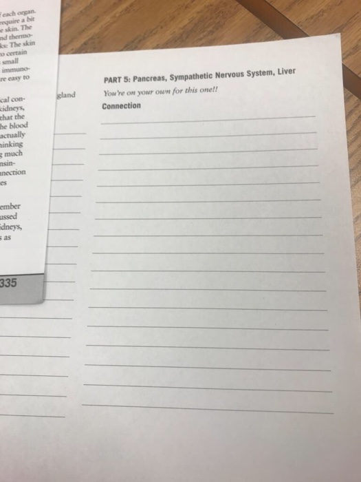 Solved: Connection Between Pancreas, Sympathetic Nerve Sys... | Chegg.com