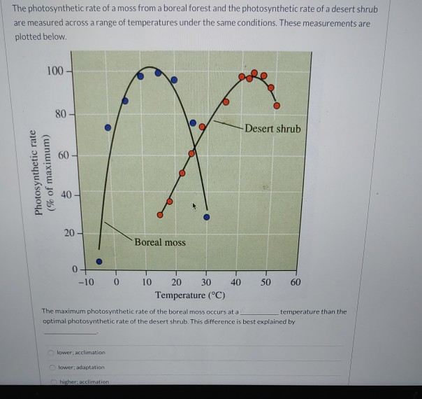 Moss Rate Solved The photosynthetic rate of a moss from a boreal | Chegg.com