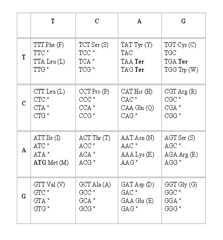 Solved Please use the genetic code below to determine the | Chegg.com