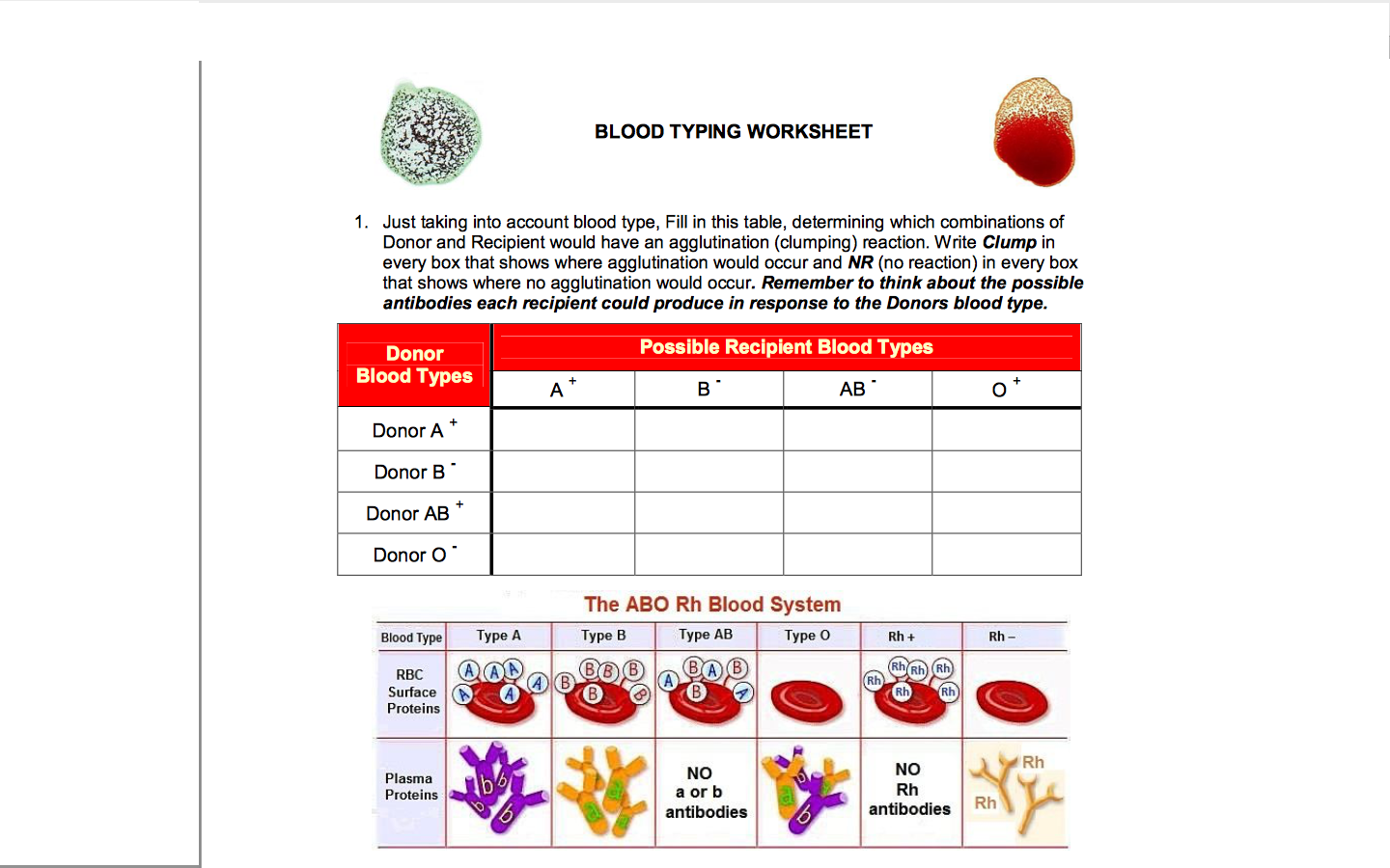 Solved BLOOD TYPING WORKSHEET 1 Just taking into account Chegg com