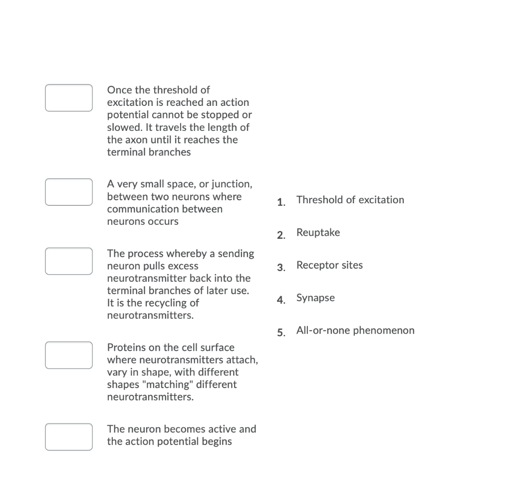 the threshold of excitation is the threshold for neuronal action potential