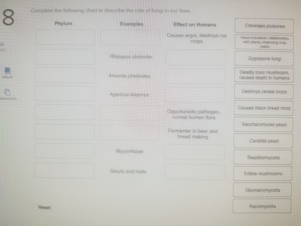 Solved Complete the following chart to describe the role of | Chegg.com