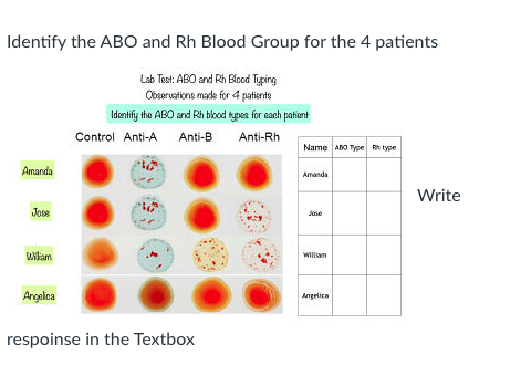 Solved Identify The ABO And Rh Blood Group For The 4 | Chegg.com