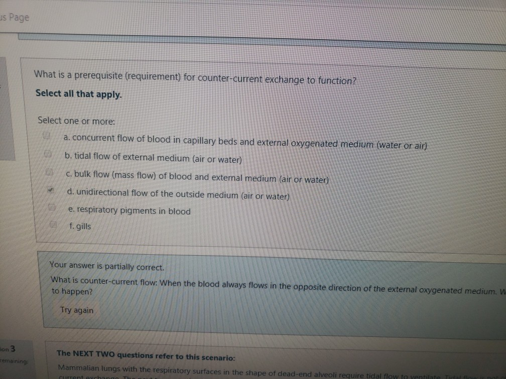 Solved Page What Is A Prerequisite requirement For Chegg