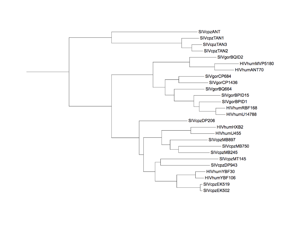 Solved to understand the origin and transmission history of | Chegg.com