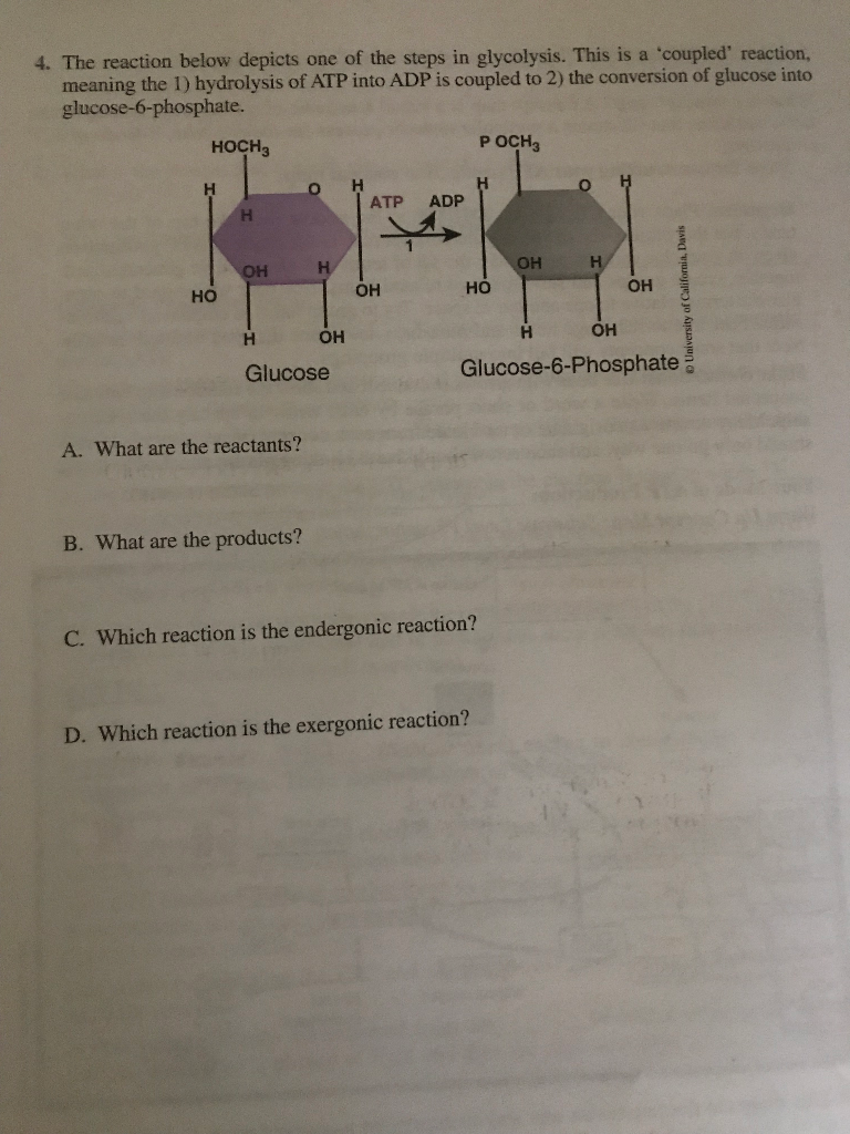 Solved 4. The reaction below depicts one of the steps in