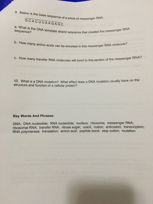 Solved 1. What is the basic structure of all proteins? 2. at | Chegg.com