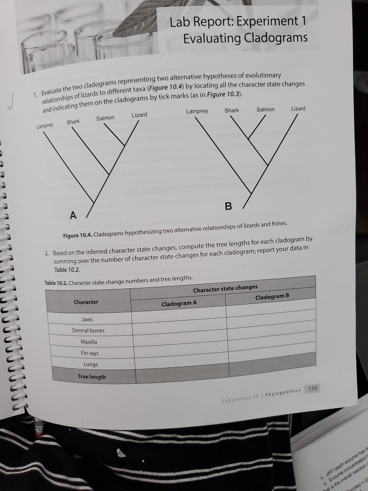 Lab Report: Experiment 1 Evaluating Cladograms 1. | Chegg.com