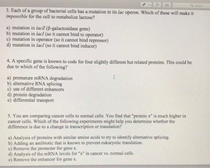 Solved 3. Each of a group of bacterial cells has a mutation | Chegg.com