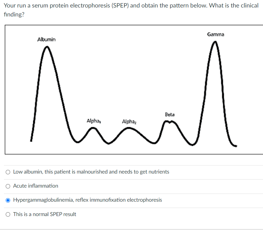 Solved Your run a serum protein electrophoresis (SPEP) and