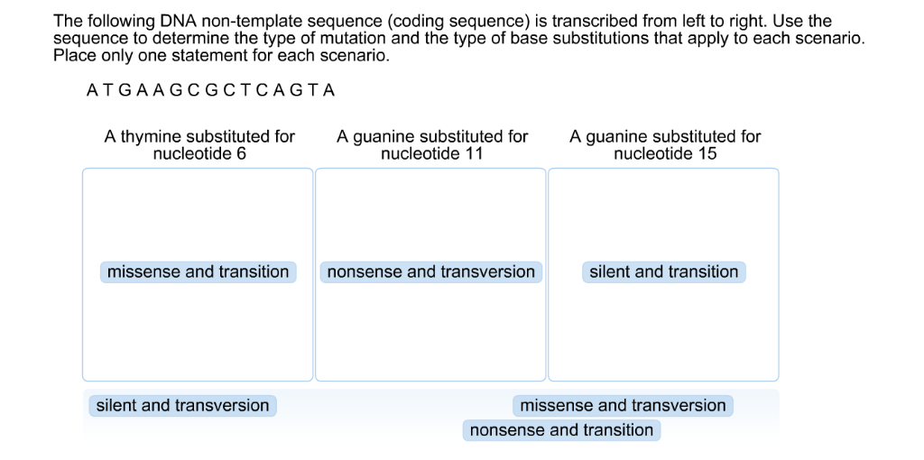 Solved Interpret the chain-terminating dideoxynucleotide | Chegg.com