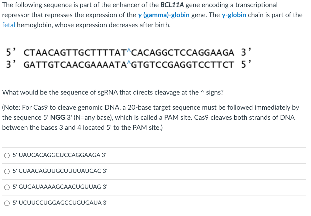 Solved The following sequence is part of the enhancer of the | Chegg.com