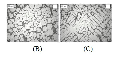 Solved The Following Images Correspond To The Microstructure | Chegg.com