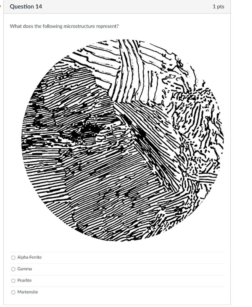 Solved What does the following microstructure represent?