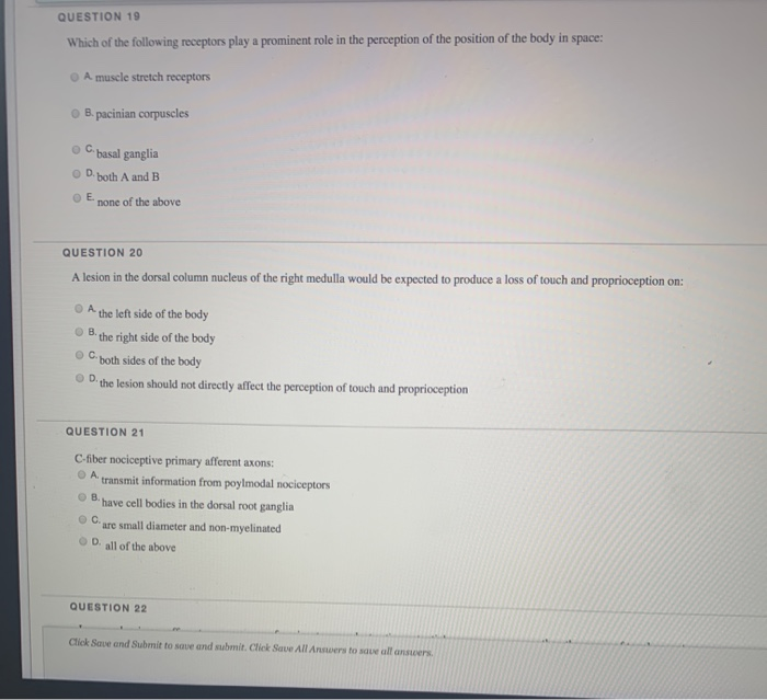 Solved QUESTION 19 Which of the following receptors play a | Chegg.com