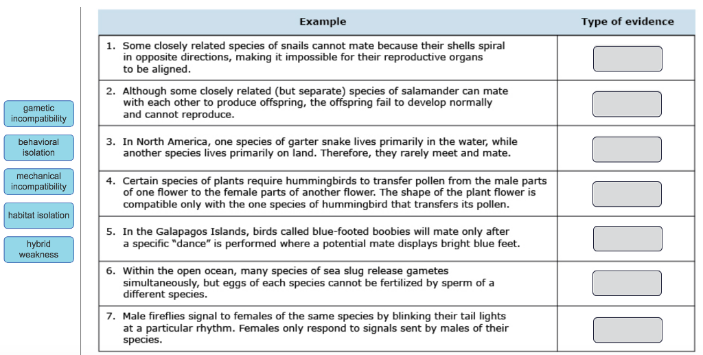 solved-example-type-of-evidence-1-some-closely-related-chegg