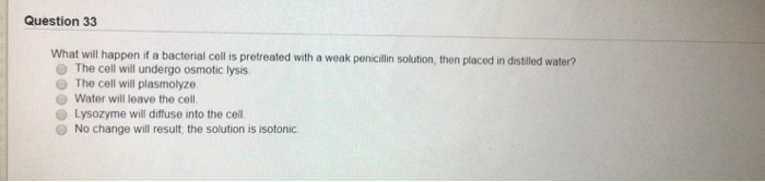 Solved Question 33 What Will Happen If A Bacterial Cell Is 