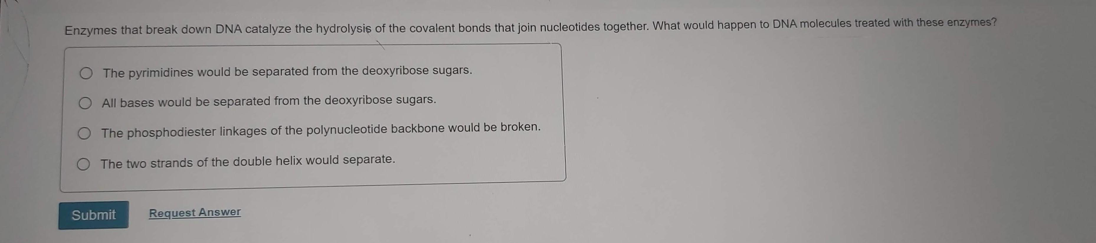 Solved Enzymes that break down DNA catalyze the hydrolysis
