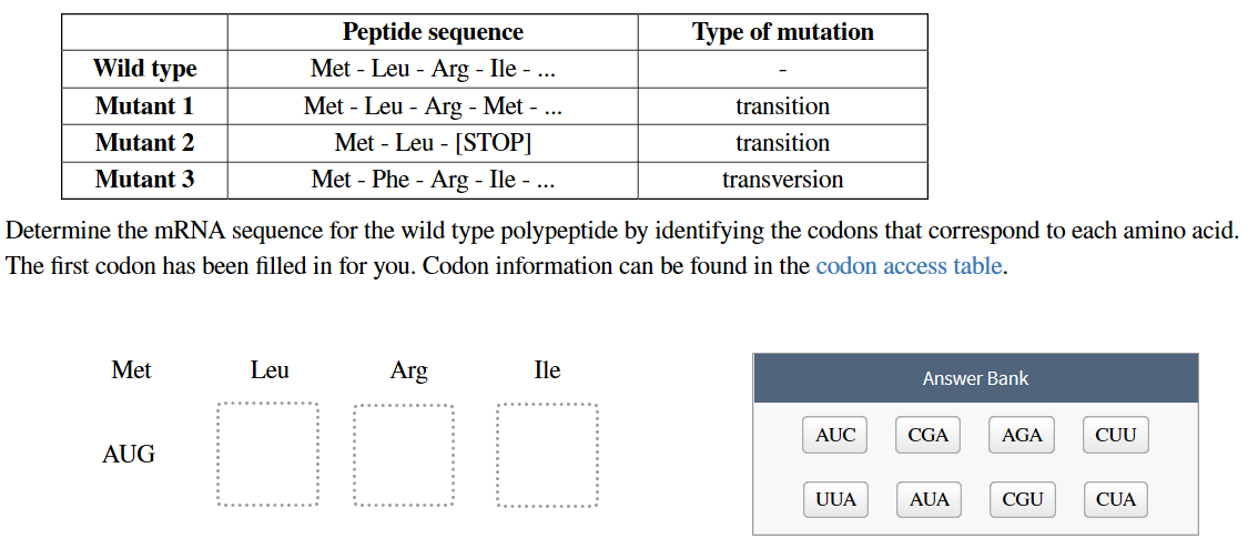 Solved Peptide sequence Met Leu Arg - Ile - ... Type of | Chegg.com