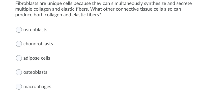 Fibroblasts are unique cells because they can simultaneously synthesize and secrete multiple collagen and elastic fibers. Wha