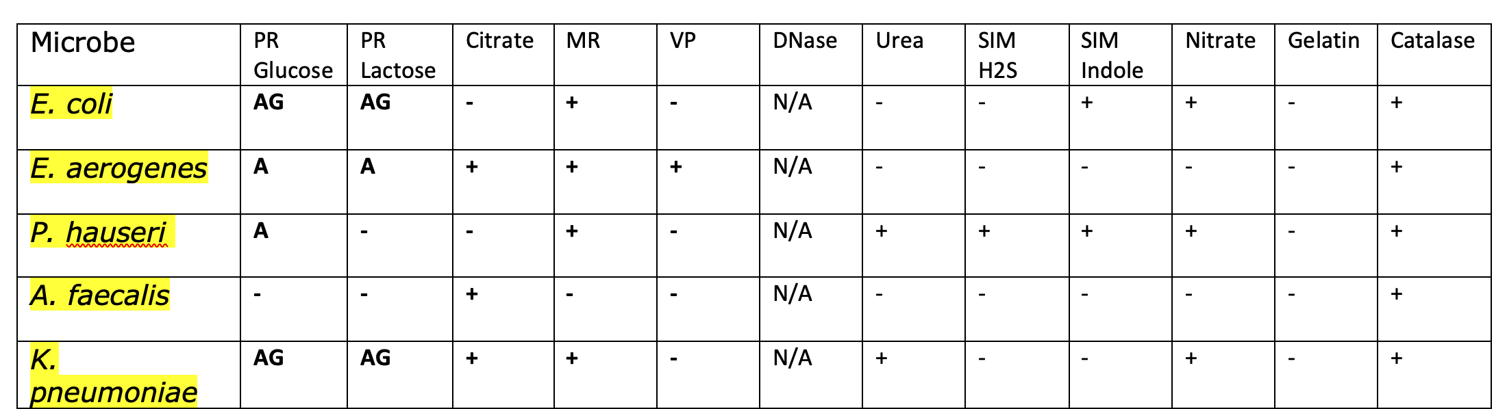 Solved create a dichotomous key for the gram-negative rods | Chegg.com