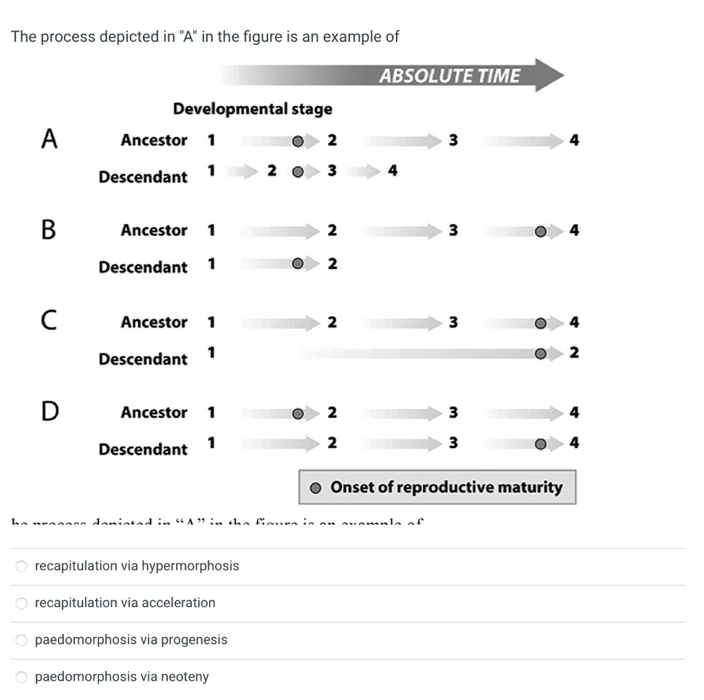 Solved the process depicted in "A" in the figure is an | Chegg.com