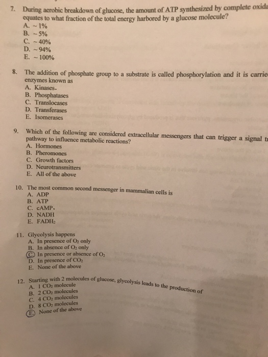 solved-during-acrobic-breakdown-of-glucose-the-amount-of-chegg