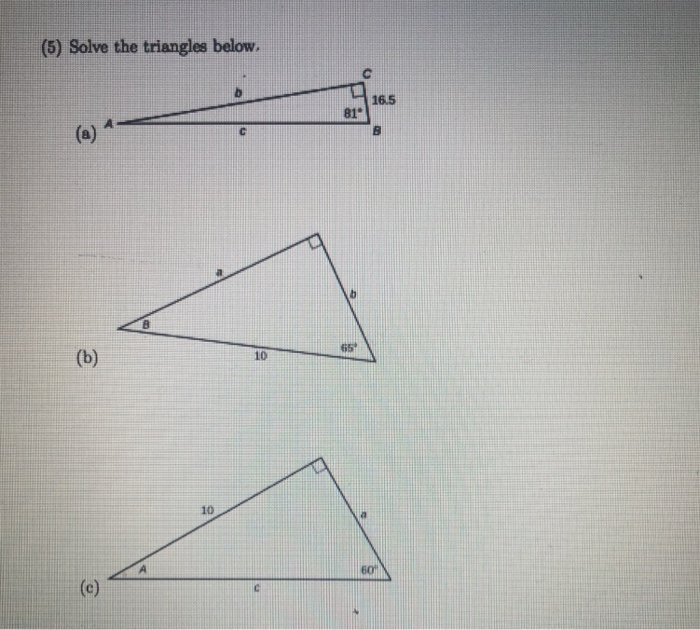 Solved (5) Solve the triangles below. 16.5 81° 10 10 | Chegg.com