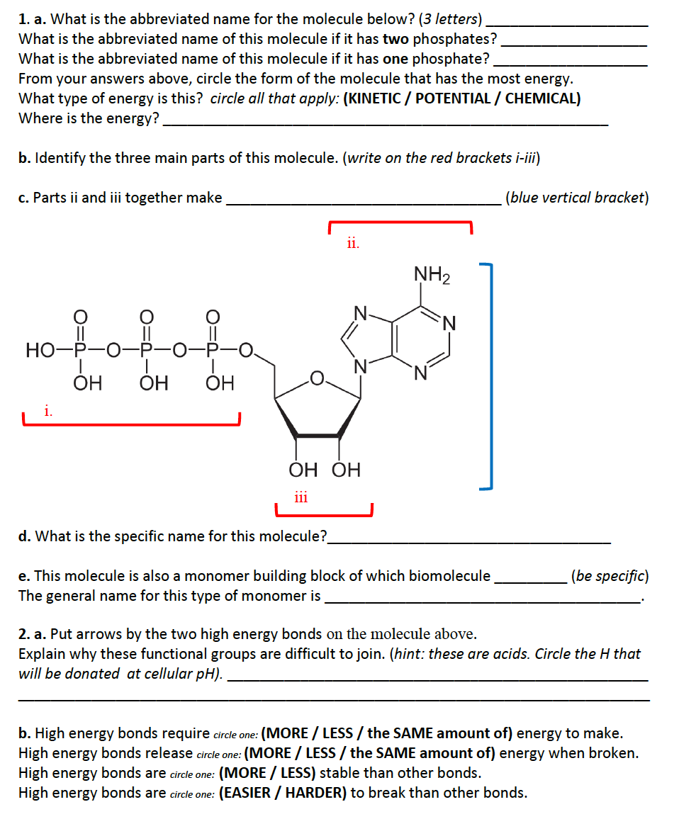 Solved 1. a. What is the abbreviated name for the molecule | Chegg.com