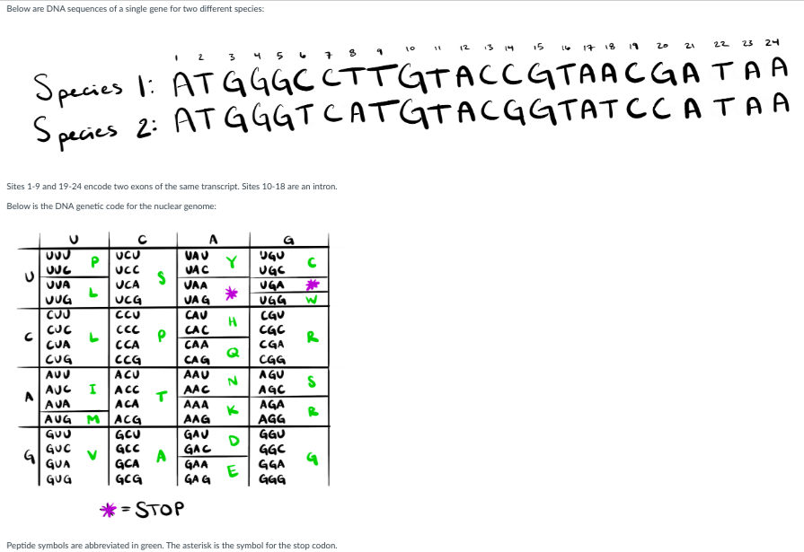 Solved Calculate dN/dS. This is your ω value. ω= 0.86 2 0.33 | Chegg.com