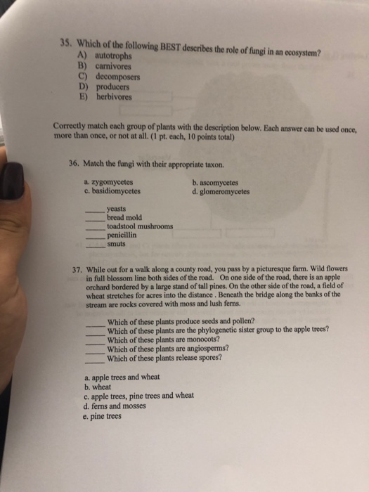 Solved 35. Which of the following BEST describes the role of | Chegg.com