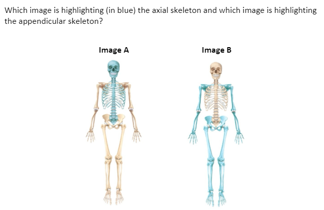 Solved Question 1 0/2 pts The hard, dense bone that forms | Chegg.com