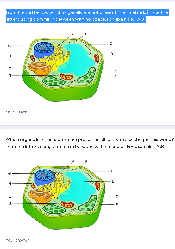 Solved From the cell below, which organells are not present 