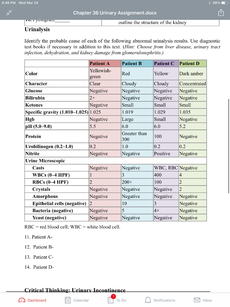 4:46 PM Wed Mar 24 • 58% Chapter 36 Urinary Assignment.docx то, усторгаш outline the structure of the kidney Urinalysis Ident