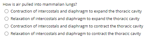 Solved How is air pulled into mammalian lungs? O Contraction | Chegg.com