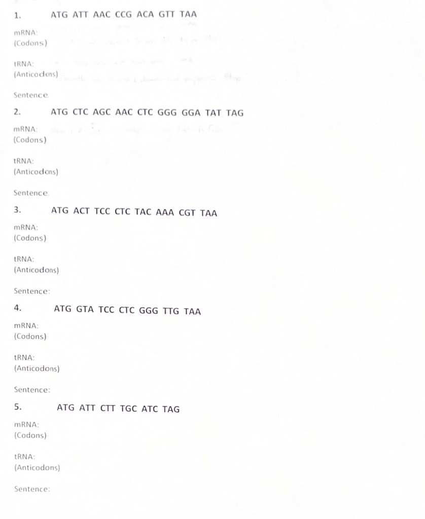 Solved 1. ATG ATT AAC CCG ACA GIT TAA mRNA: (Codons) IRNA: | Chegg.com