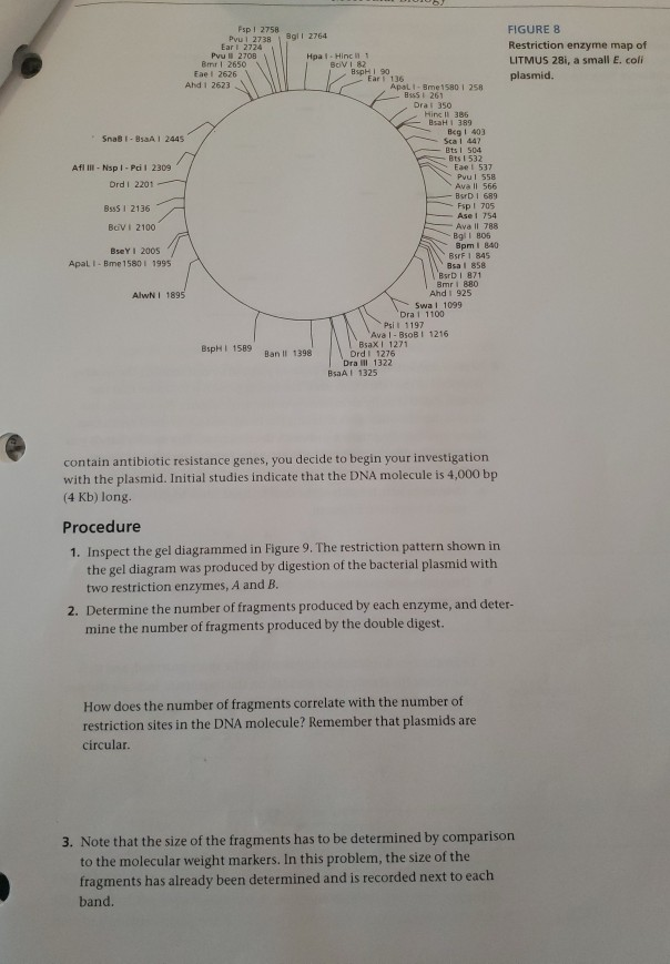 Solved FIGURE 8 Restriction enzyme map of LITMUS 28i, a | Chegg.com