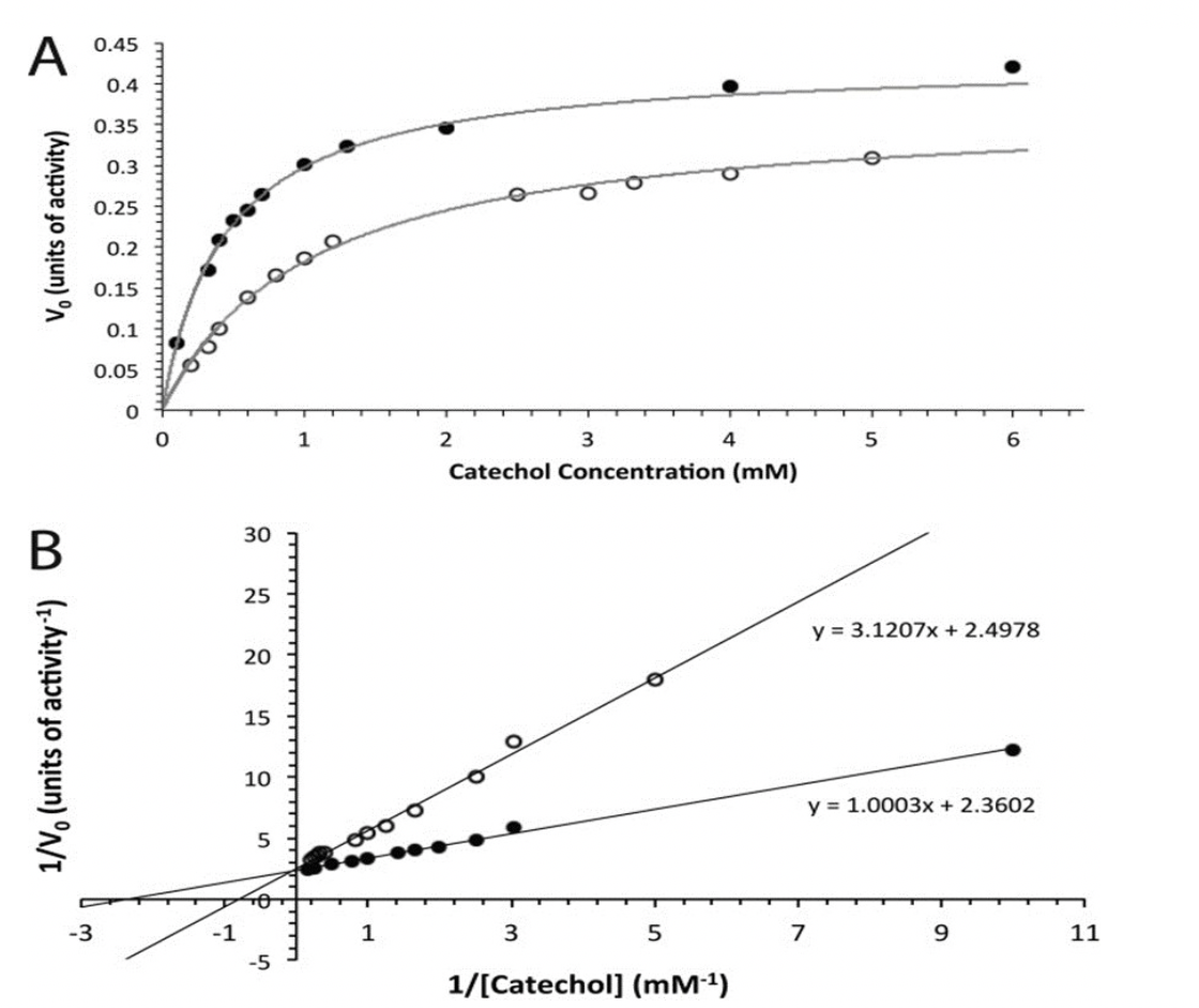 Solved Calculate Km and Vmax in the presence of inhibitor.