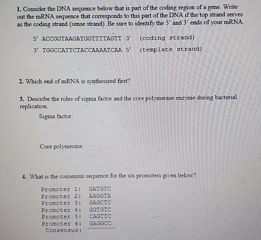 Solved 1. Consider the DNA sequence below that is part of | Chegg.com