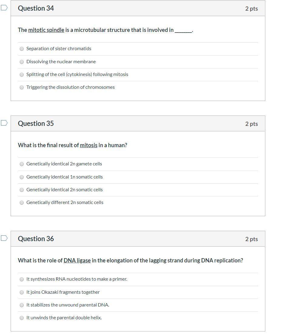 Solved Question 34 2 pts The mitotic spindle is a Biology Diagrams