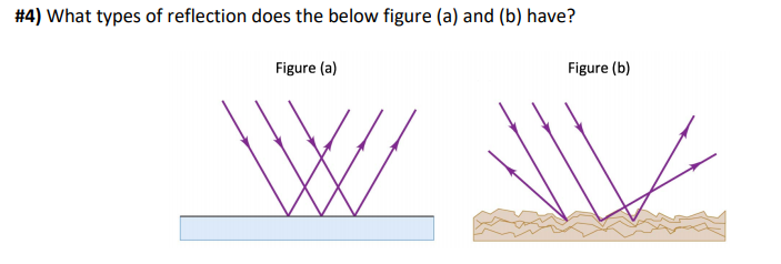 Solved #4) What Types Of Reflection Does The Below Figure | Chegg.com