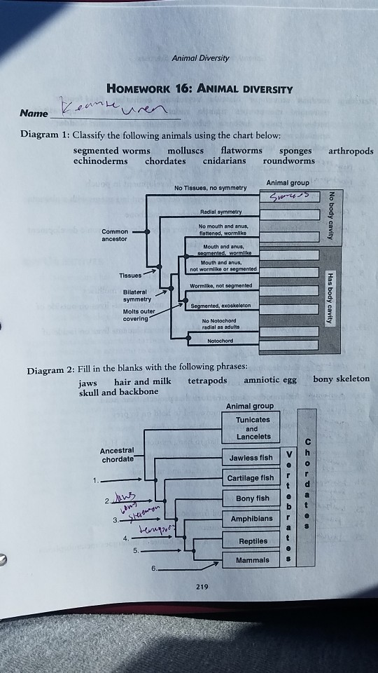 Solved Animal Diversity HOMEWORK 16 ANIMAL DIVERSITY em