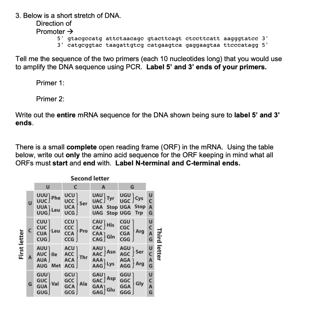 Solved 3. Below is a short stretch of DNA. Direction of | Chegg.com