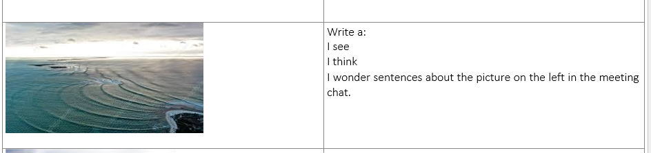 Write a: I see I think I wonder sentences about the | Chegg.com